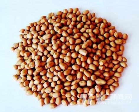 �����黨����Ϊý ͭ������������3��ԪͶ��